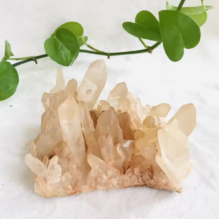 Himalayan Quartz Cluster